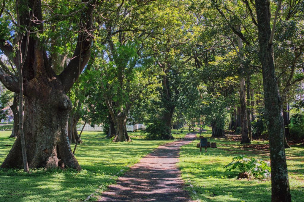 En su basta extensión, Ciudad Hacienda Los Reyes ofrece contacto con la naturaleza.