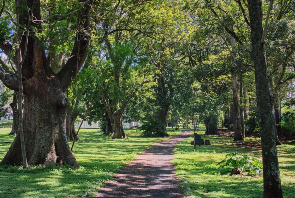 En su basta extensión, Ciudad Hacienda Los Reyes ofrece contacto con la naturaleza.