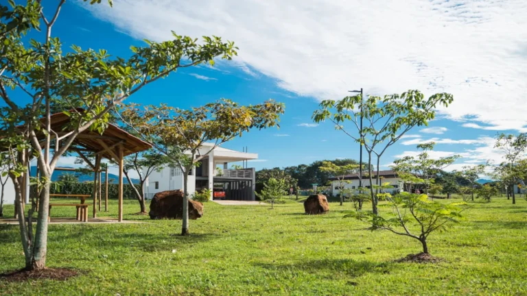 Los parques en los condominios en Ciudad-Hacienda Los Reyes, le permitirán disfrutar de la naturaleza.